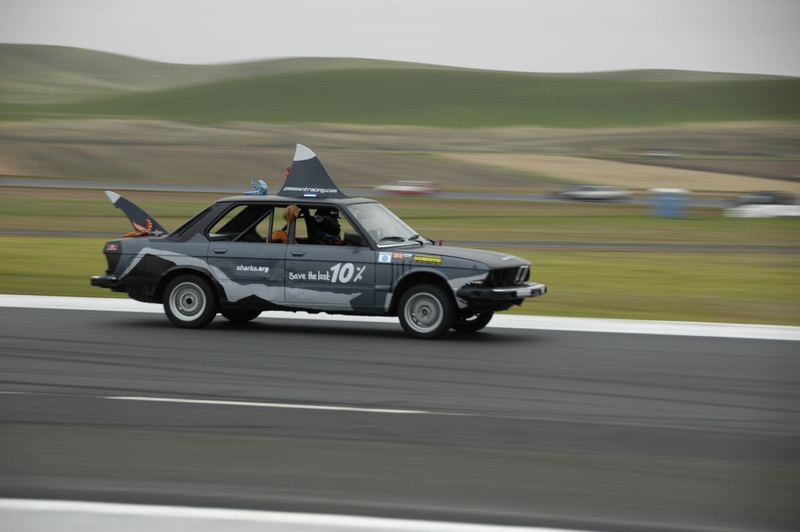 Illustration for article titled 24 Hours Of LeMons Arse Freeze-A-Palooza Über Gallery: The Bavarian Hordes